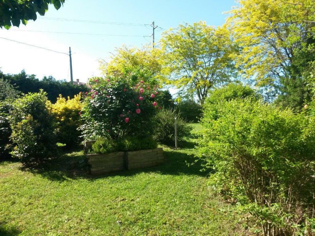 Bed and Breakfast CasaVittorio San Giovanni In Marignano Esterno foto